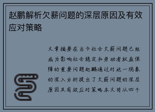 赵鹏解析欠薪问题的深层原因及有效应对策略